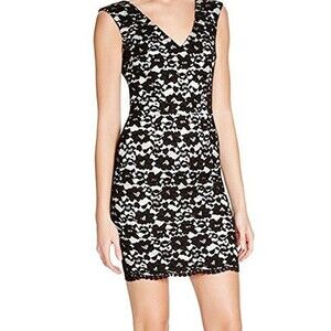NWT 6 New French Connection Lace Dress Black White Womens Flowers SS Lined Sheat